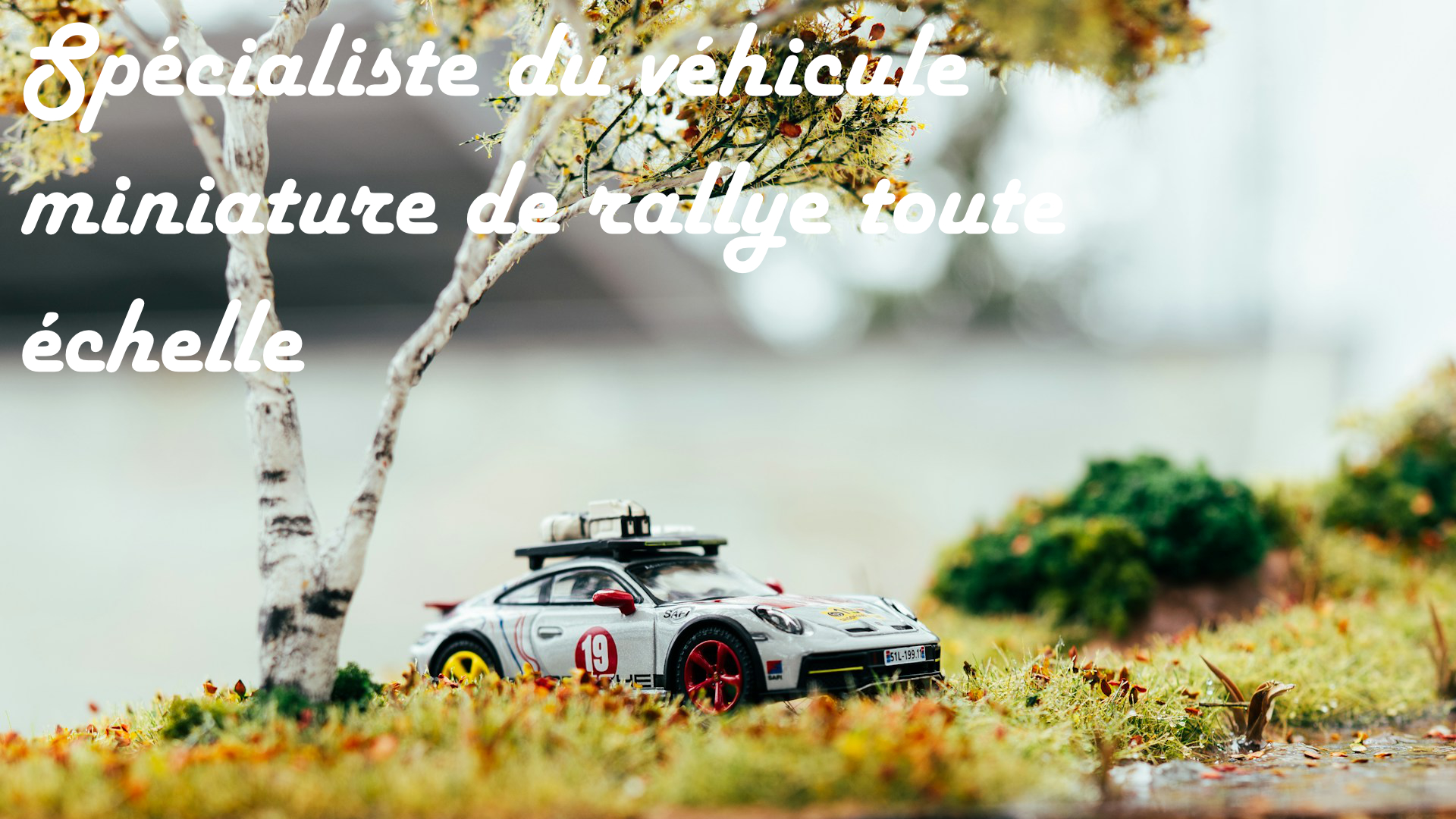 slider-1-mobile-rallye